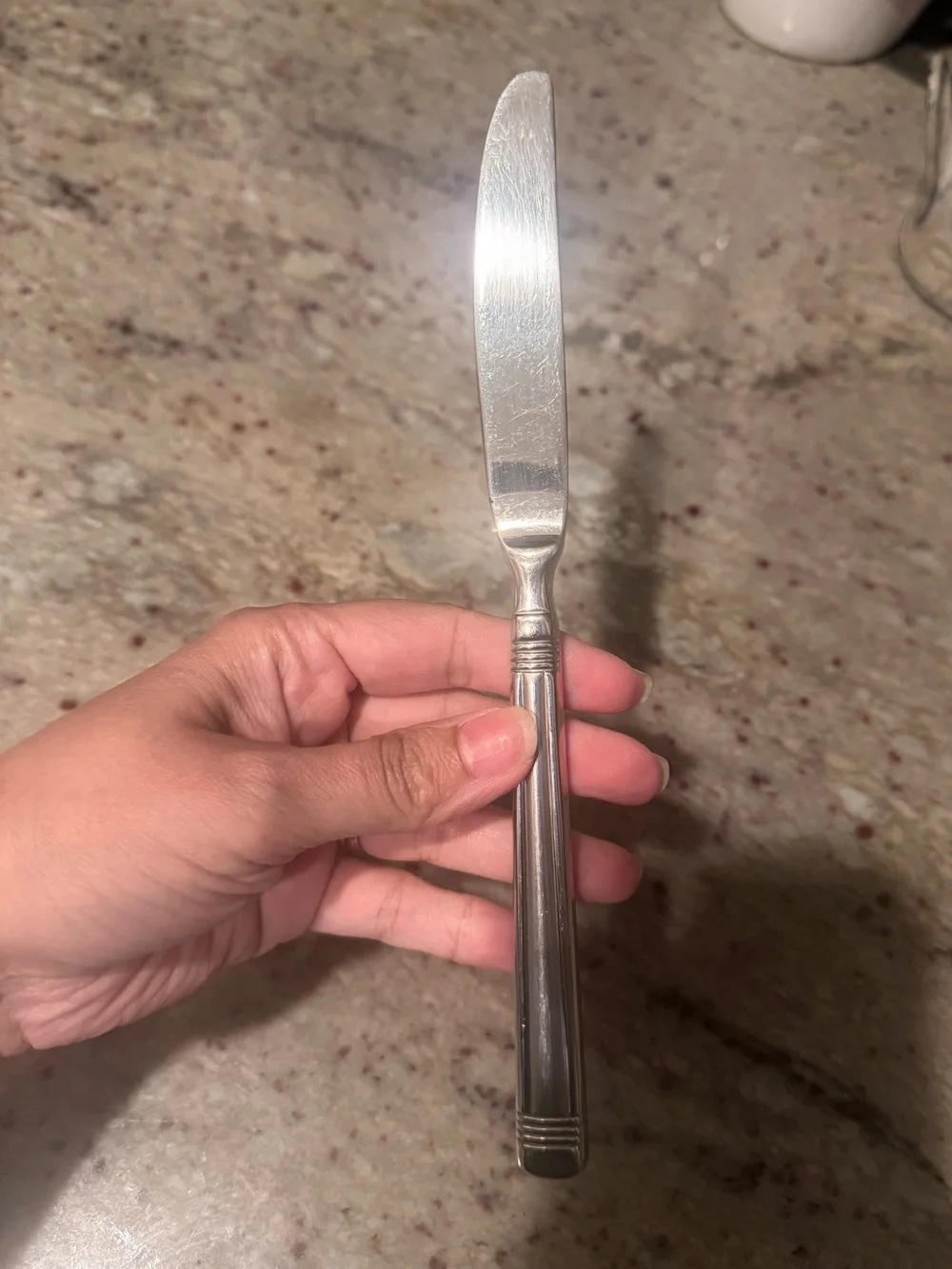 ZWILLING J.A. Henckels Silver Ribbed-Handle Dinner Knife Set - 7 Pieces